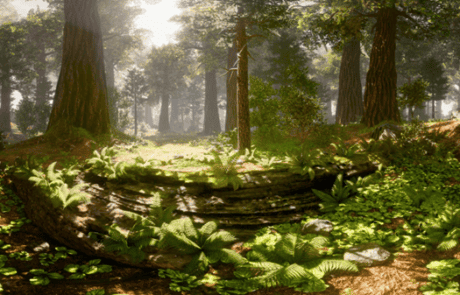 Paysage de réalité virtuelle - Hypnose
